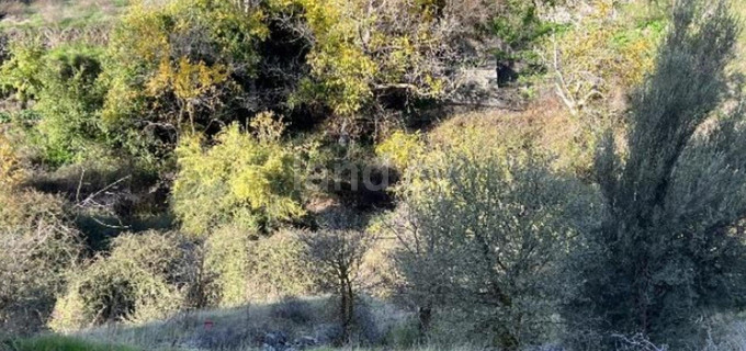 Campo agrícola a la venta en Nicosia