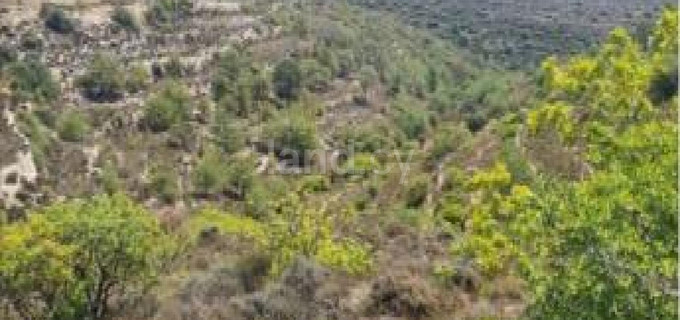 Αγροτικό αγροτεμάχιο προς πώληση - Λεμεσός