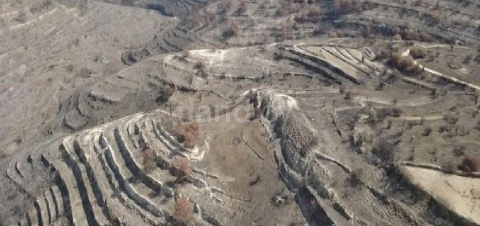 Campo agrícola a la venta en Limassol