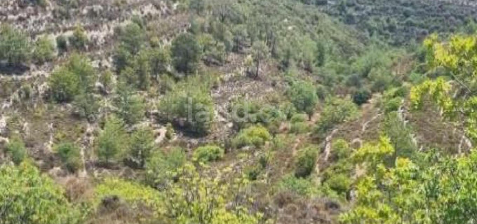 Αγροτικό αγροτεμάχιο προς πώληση - Λεμεσός
