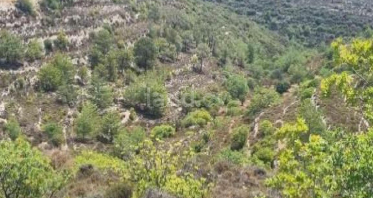 Jordbruksfält till salu i Limassol