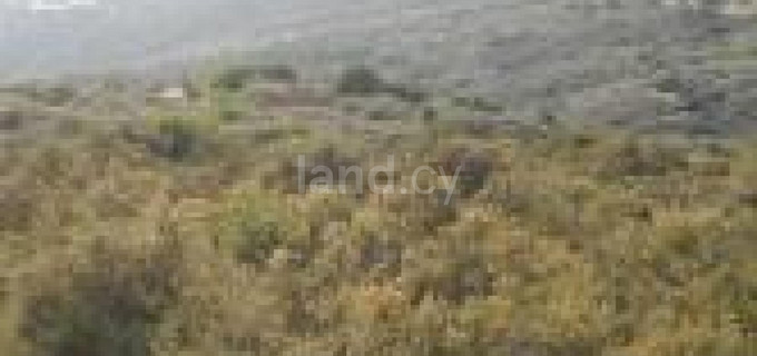 Landwirtschaftliches Baugebiet in Larnaca zu verkaufen