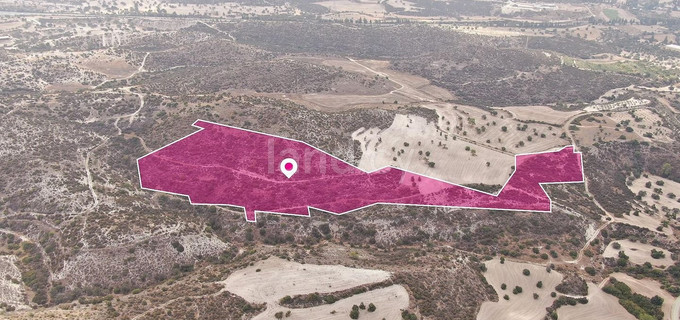 Field for sale in Larnaca