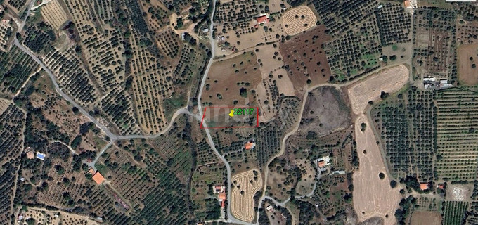 Campo agrícola a la venta en Larnaca