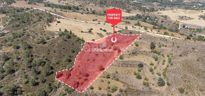 Agricultural field for sale in Nicosia