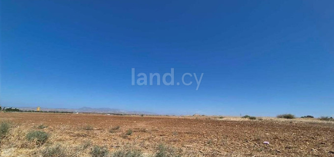 Agricultural field for sale in Nicosia
