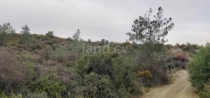 Αγροτικό αγροτεμάχιο προς πώληση - Λεμεσός