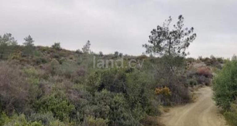 Campo agrícola a la venta en Limassol