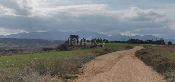 Terrain agricole à vendre à Nicosie