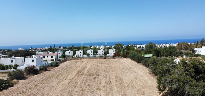 Parcelle résidentielle à vendre à Paphos