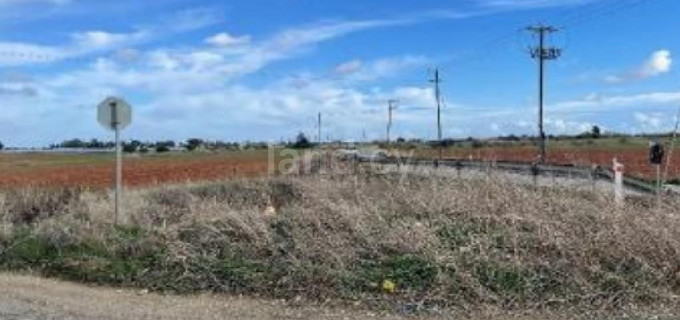 Campo residencial a la venta en Avgorou