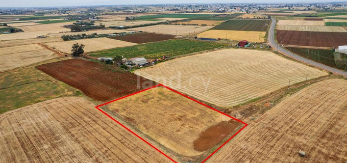 Campo agrícola a la venta en Avgorou