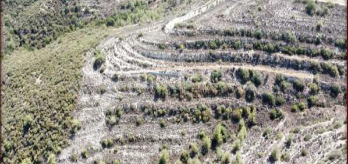 Agricultural field for sale in Limassol