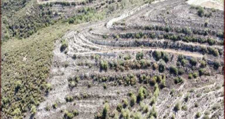 Terrain agricole à vendre à Limassol