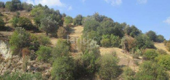 Agricultural field for sale in Paphos