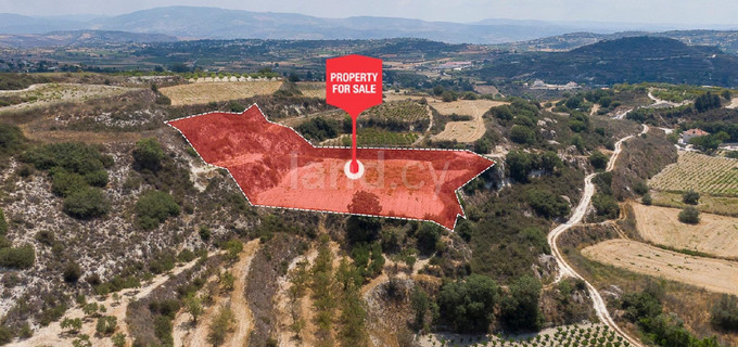 Αγροτικό αγροτεμάχιο προς πώληση - Πάφος
