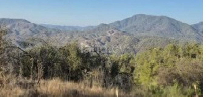 Residential field for sale in Paphos