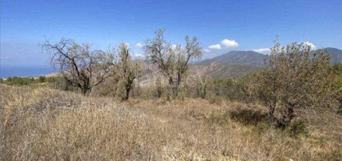 Pole mieszkaniowe na sprzedaż w Paphos