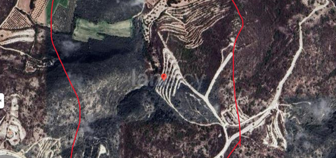 Agricultural field for sale in Larnaca