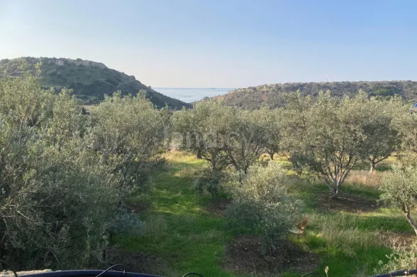 Agricultural field for sale in Larnaca