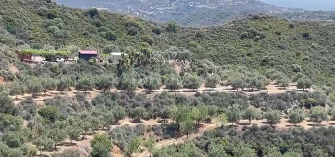 Agricultural field for sale in Larnaca