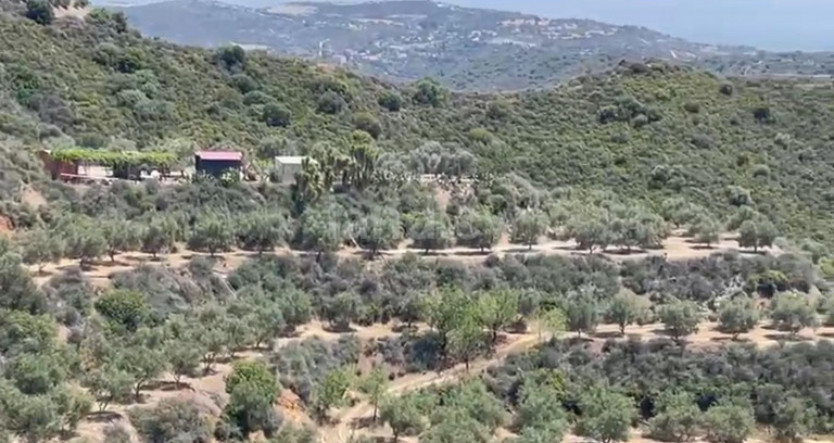 Agricultural field for sale in Larnaca