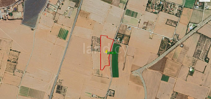 Campo agrícola a la venta en Larnaca