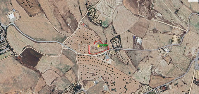 Agricultural field for sale in Larnaca