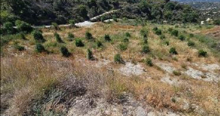 Αγροτικό αγροτεμάχιο προς πώληση - Πάφος