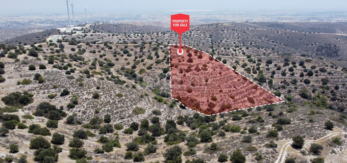 Agricultural field for sale in Larnaca