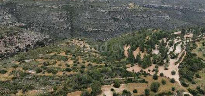 Terrain agricole à vendre à Limassol