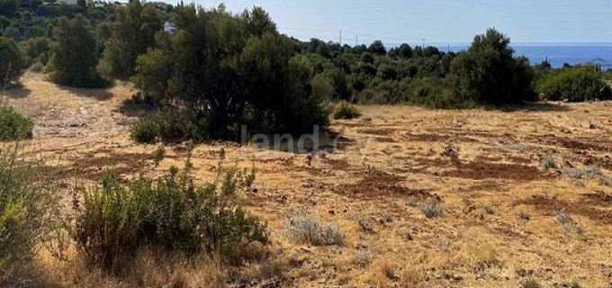 Οικόπεδο προς πώληση - Πάφος