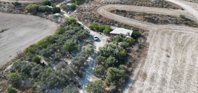 Αγροτικό αγροτεμάχιο προς πώληση - Λάρνακα