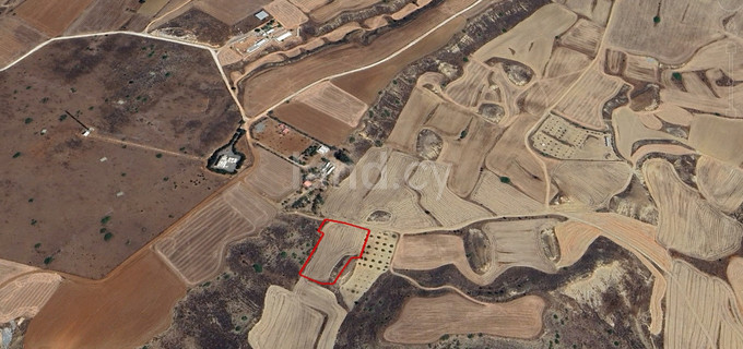 Сельскохозяйственное поле на продажу в Никосия