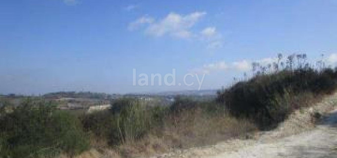 Campo agrícola a la venta en Paphos