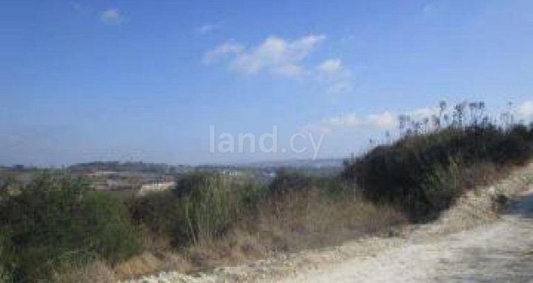 Terrain agricole à vendre à Paphos