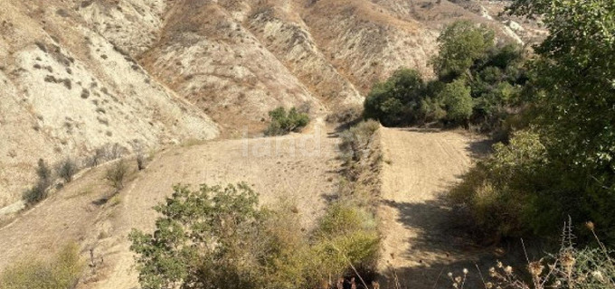 Campo agrícola a la venta en Paphos