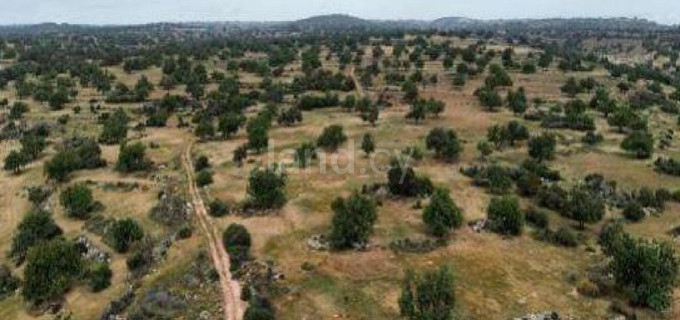 Jordbruksfält till salu i Limassol