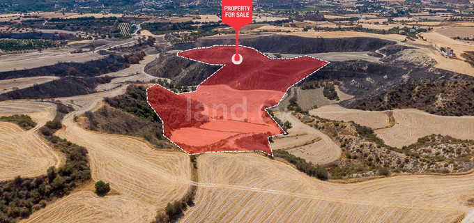 Сельскохозяйственное поле на продажу в Пафос