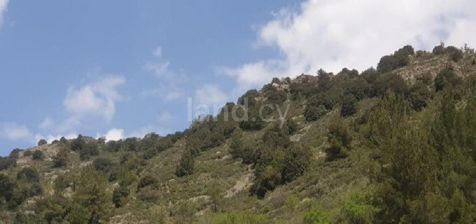 Campo agrícola a la venta en Nicosia