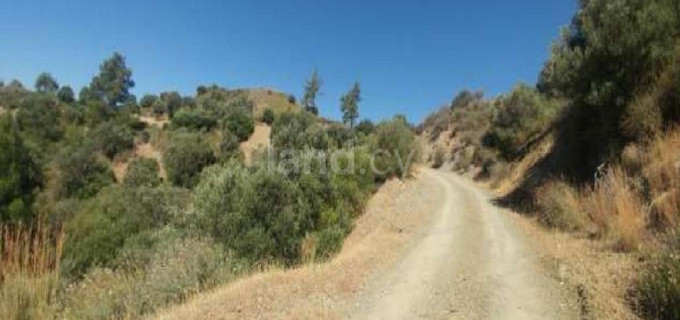 Landwirtschaftliches Baugebiet in Larnaca zu verkaufen