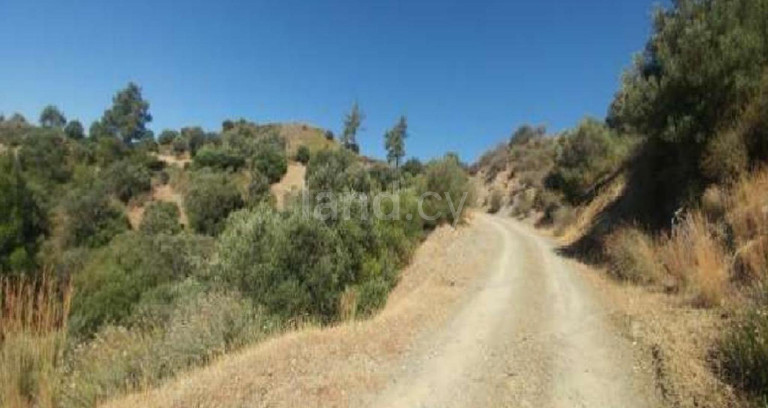 Landwirtschaftliches Baugebiet in Larnaca zu verkaufen