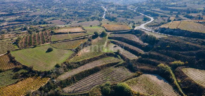 Campo agrícola a la venta en Paphos