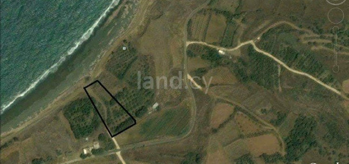 Οικιστικό οικόπεδο προς πώληση - Πάφος