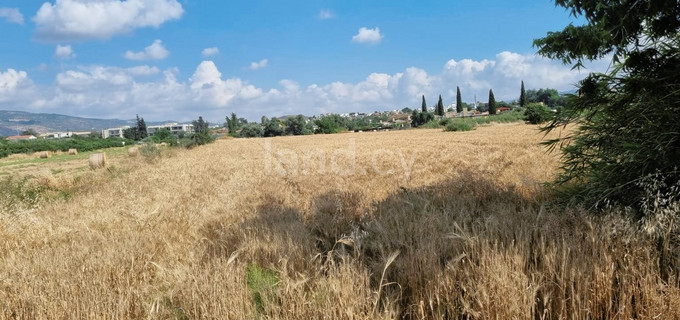 Сельскохозяйственное поле на продажу в Пафос