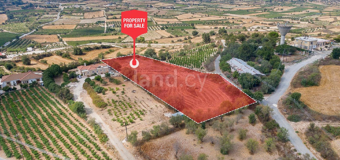 Wohngebiet in Paphos zu verkaufen