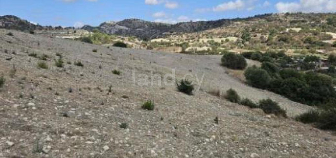 Αγροτικό αγροτεμάχιο προς πώληση - Πάφος