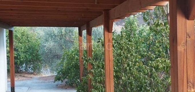 Campo agrícola a la venta en Larnaca