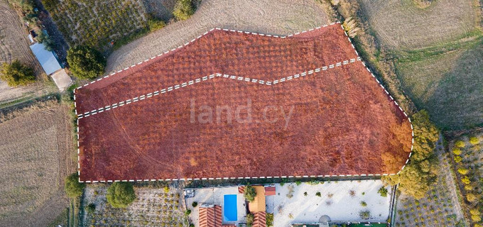 Wohngebiet in Paphos zu verkaufen