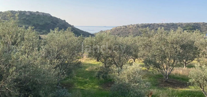 Terrain résidentiel à vendre à Limassol